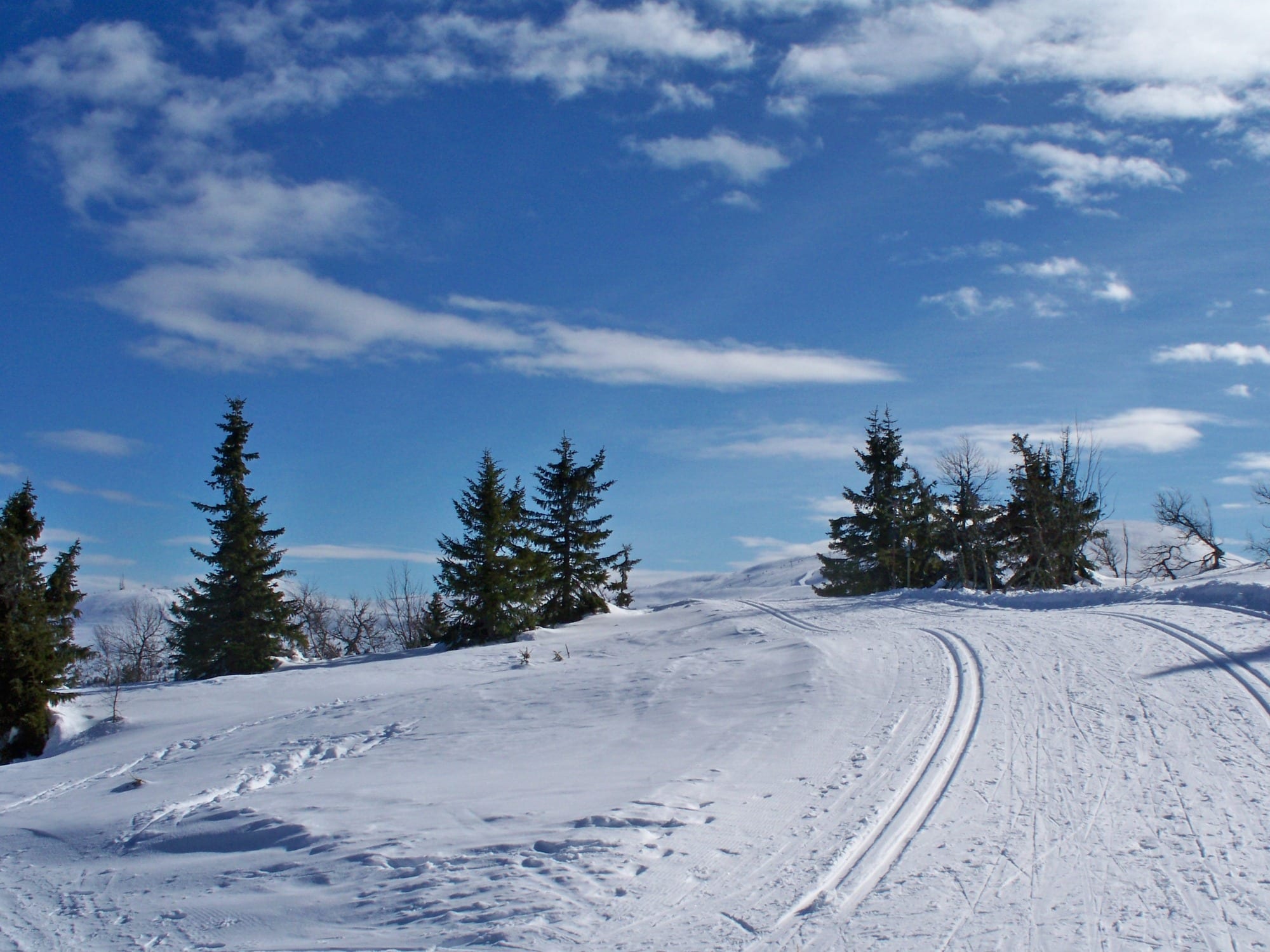 Trysil 越野滑雪上坡